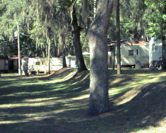 Common Area - Duval Paradise RV/MH Park