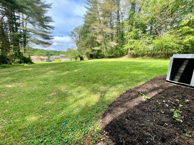 Building Photo - Newly Renovated Split Level Home