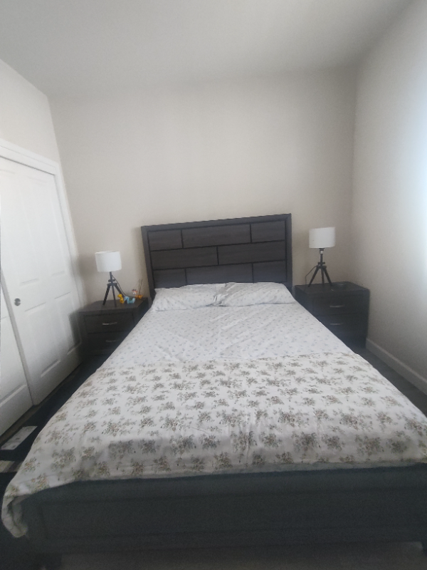 Building Photo - 1479 Orgullo Ln