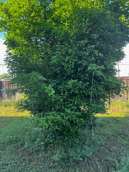 Building Photo - 5702 Sendero Spgs