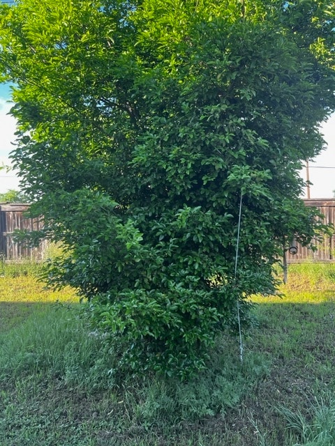 Building Photo - 5702 Sendero Spgs