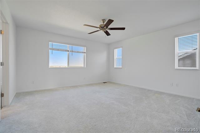 Building Photo - 5431 Sunday Gulch Dr