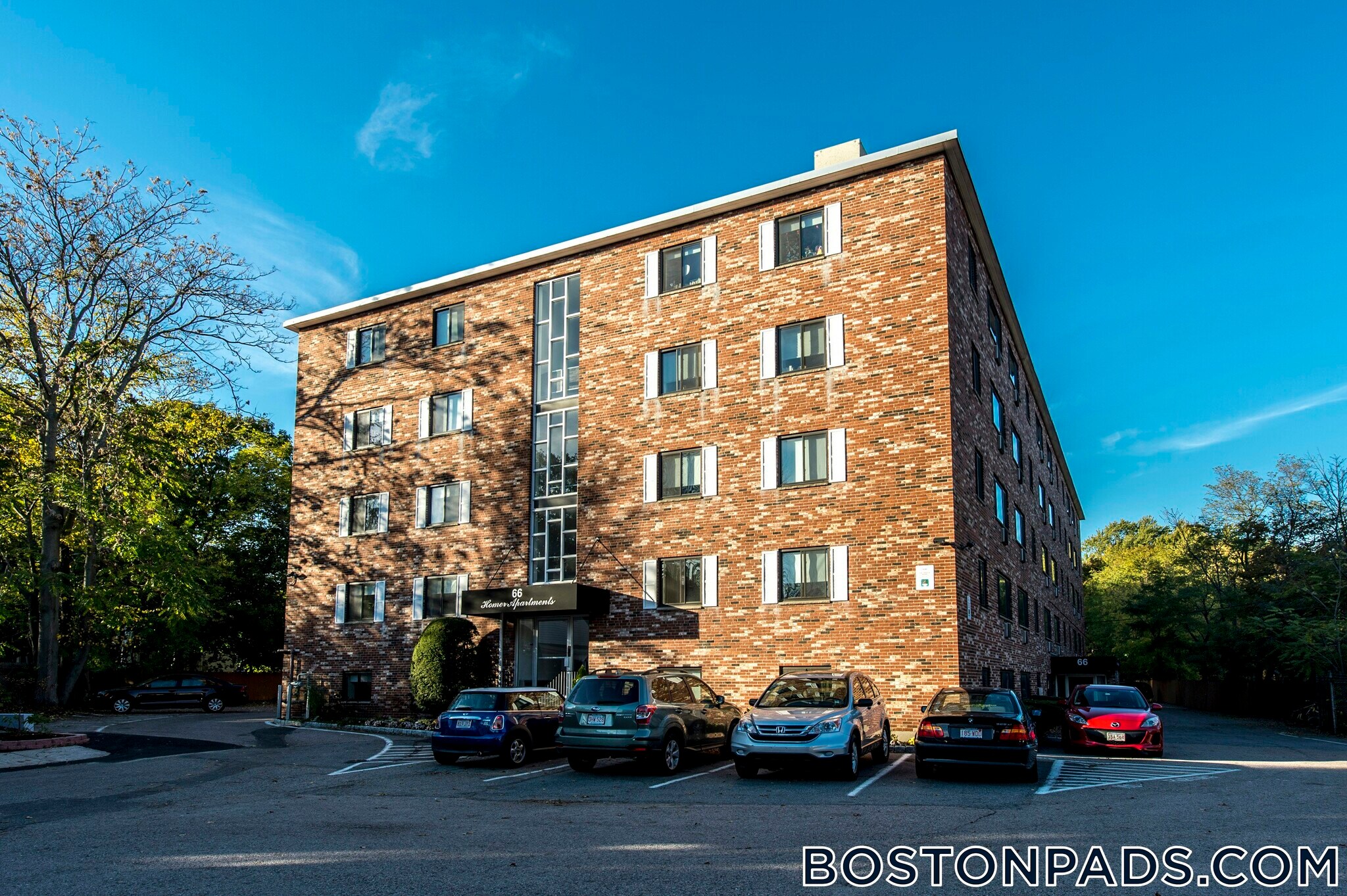 Building Photo - 66 Homer Ave