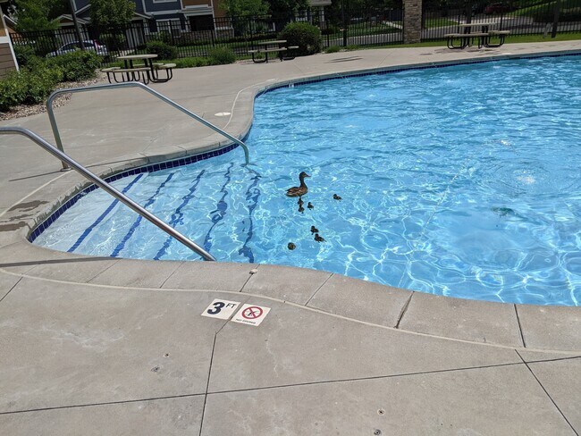 Building Photo - 2421 Owens Ave