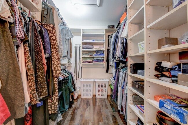 Building Photo - 572 Sanderling Ct