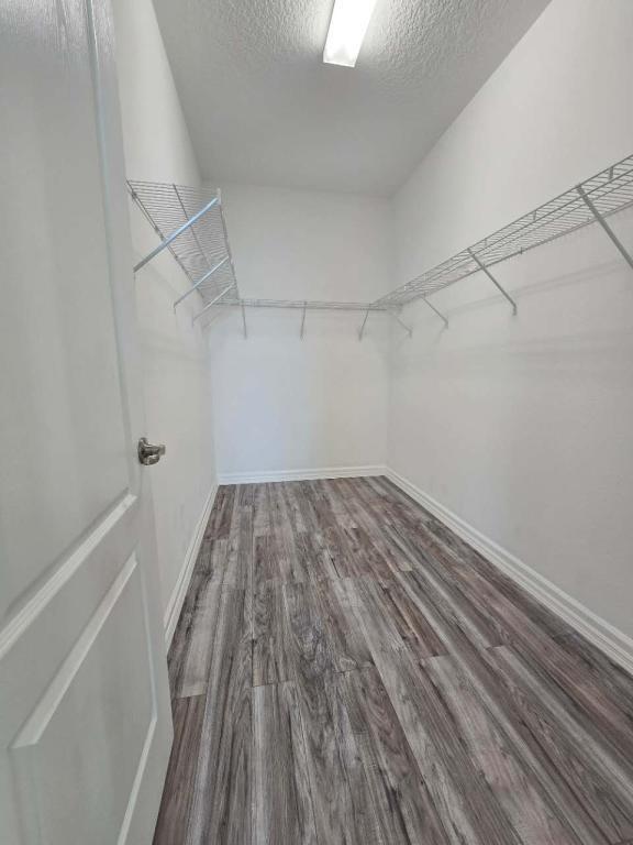 Building Photo - 5643 Water Pier Ln