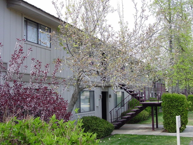 Avalon Court - Avalon Court Apartments