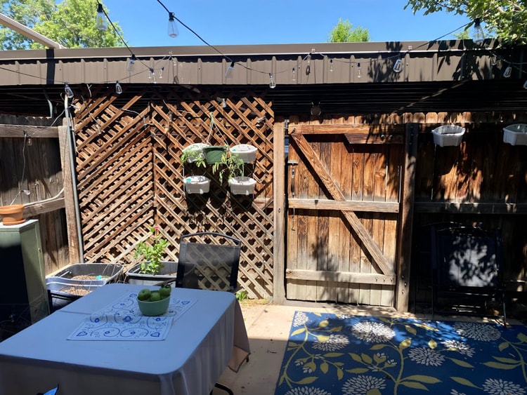 Ground floor: patio - 1777 Quail St