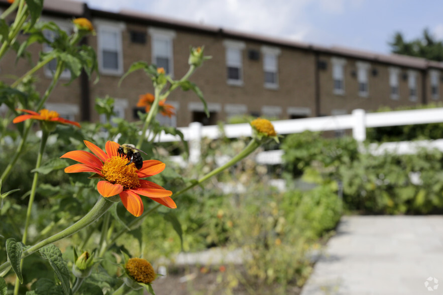 Community Garden - Cherrywood