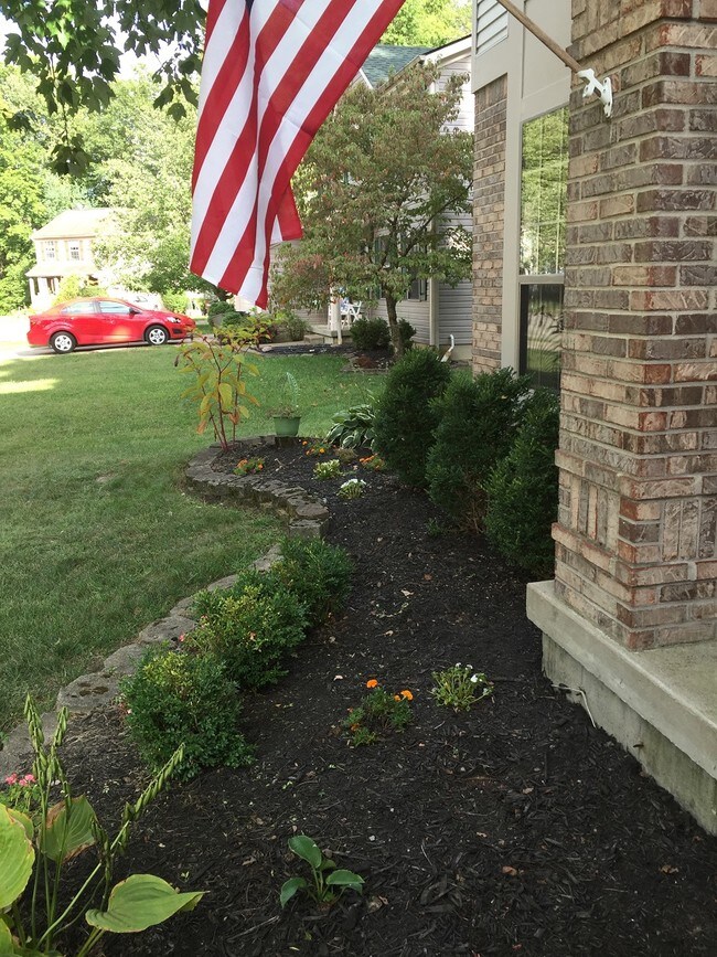 front side - 1343 Sprucewood Ct