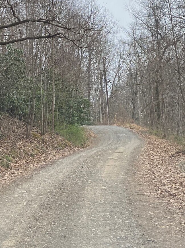 Building Photo - Black Mountain - Home Apartment, North Fork Rd, Utilities included