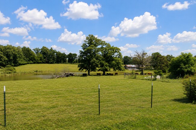 Building Photo - 3-Bedroom Home on Over Half an Acre with Pond Views Near I-40