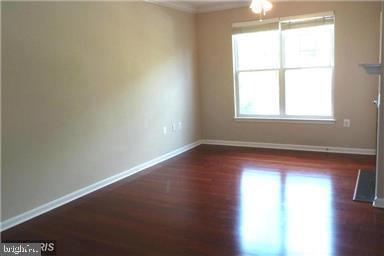 Building Photo - 3851 Aristotle Ct