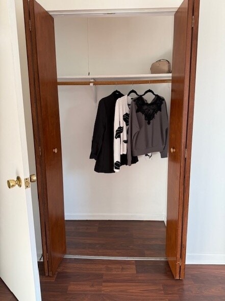 Master Bedroom Closet - 260 E Lake St
