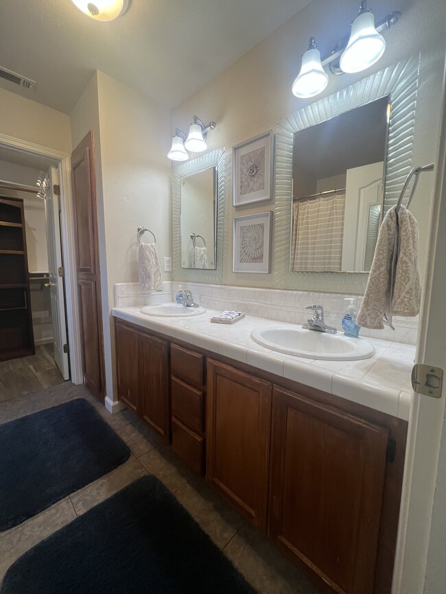 Master bath - 1452 Sudan Ct