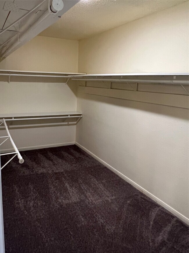 Building Photo - 12810 Ashford Meadow Dr