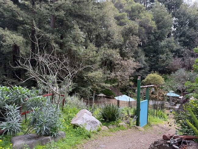 Building Photo - Beautiful Setting off Trout Gluch