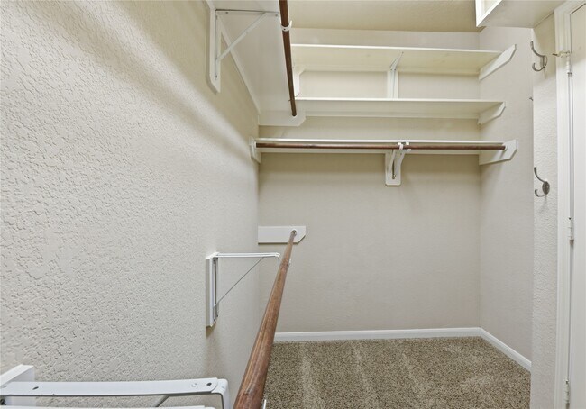 Building Photo - 114 Forest Elk Pl