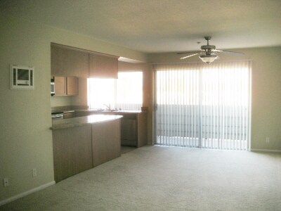Kitchen & balcony door - 615 Fredricks Ave
