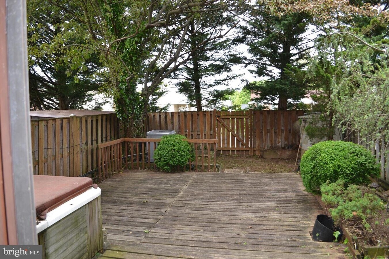 Back yard - 302 Hometown Way