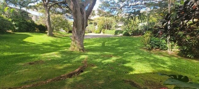 Building Photo - Turned key Fully Furnished Condo