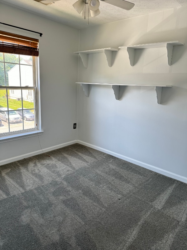 Building Photo - 5068 Bristle Cone Cir