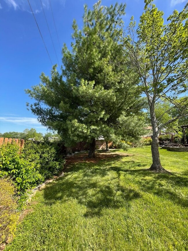 Building Photo - FULLY FURNISHED 4 BEDROOM, WALKOUT BASEMENT - SHORT TERM 6 MONTH RENTAL AVAILABLE IN OZARK!