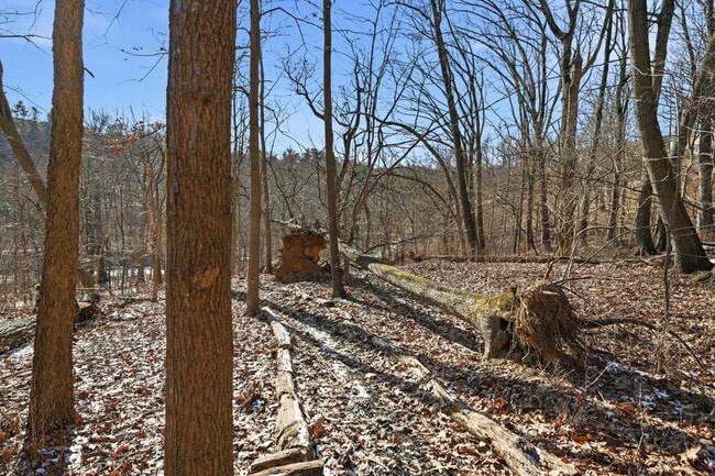 Building Photo - 1424 Macon Ave