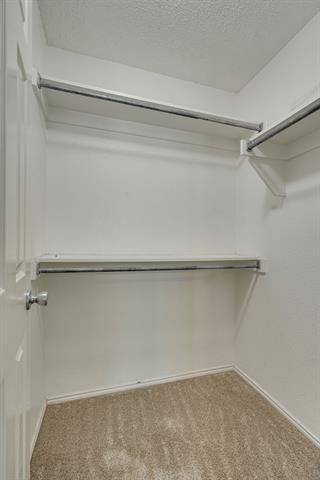 Building Photo - 209 Madisson Dr