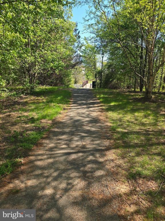 Building Photo - 6242 Levi Ct