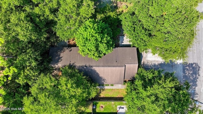 Building Photo - 118 Avondale Ave