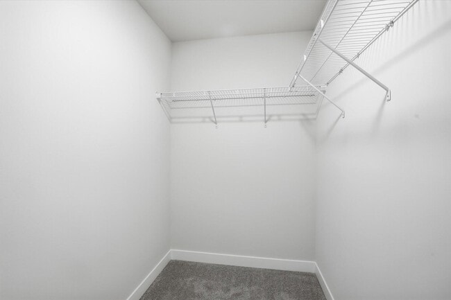 Building Photo - 330 Cattail Ct