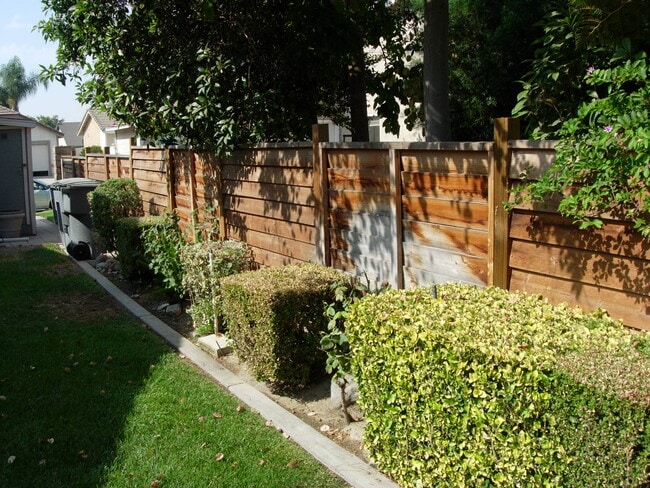 Back yard - 10750 Spyglass Dr