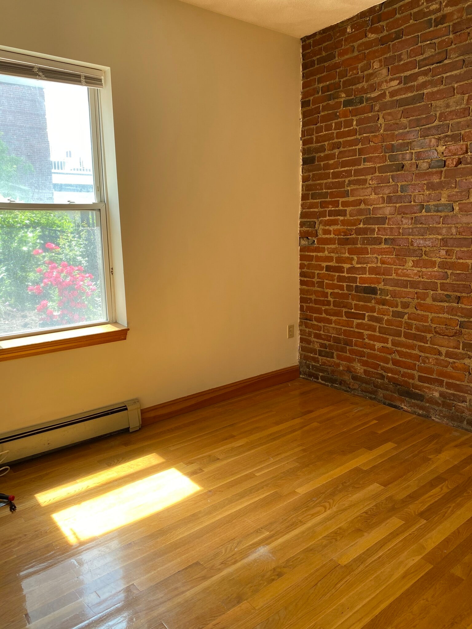 Building Photo - 67 Baldwin St