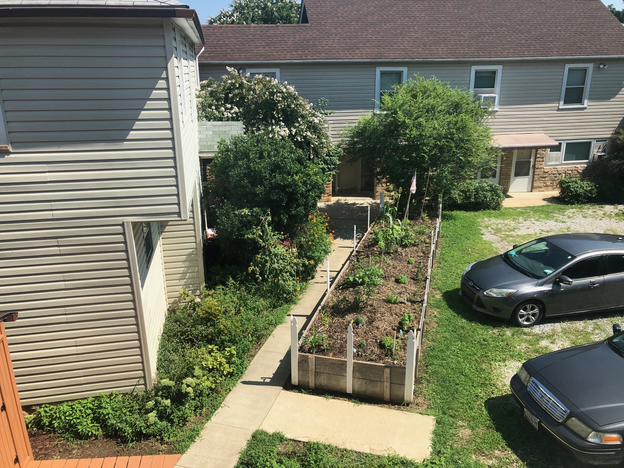 VIEW from sitting and dining rooms - 517 Montgomery St