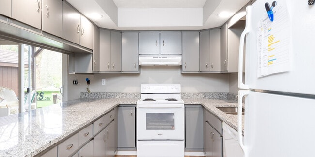 Primary Photo - Shady Lane