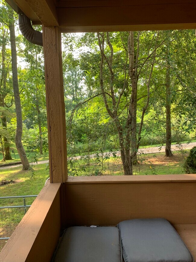 Building Photo - 247 Lakeview Ln