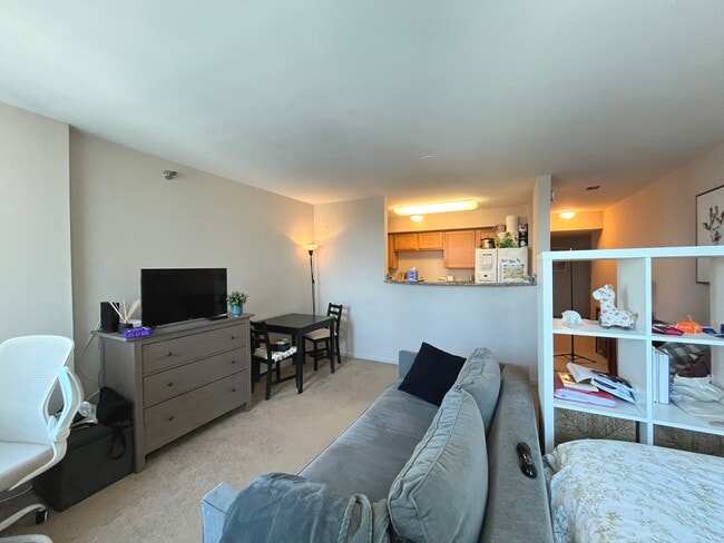 Building Photo - 345 N La Salle Dr