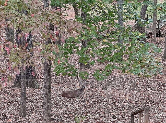 Building Photo - 150 Drennan Dr