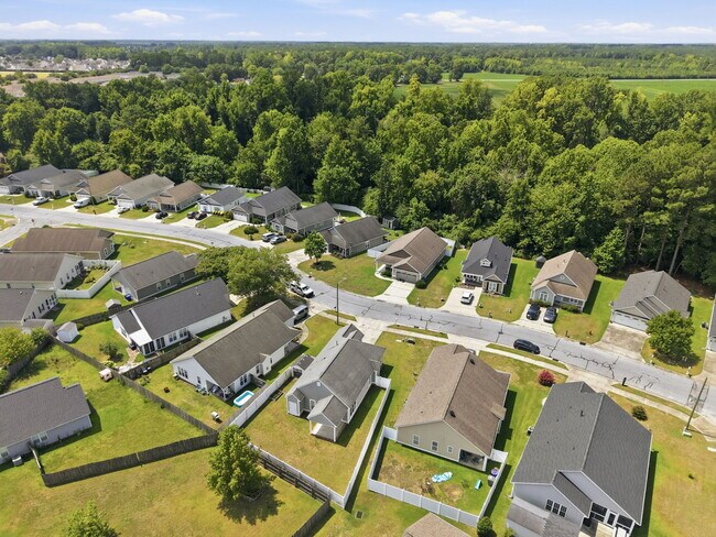 Building Photo - 2517 Sawgrass Dr