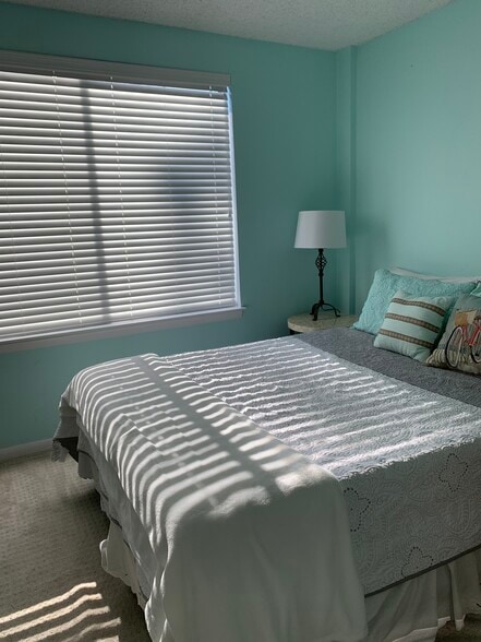 2nd Bedroom - 231 Canal Park Dr