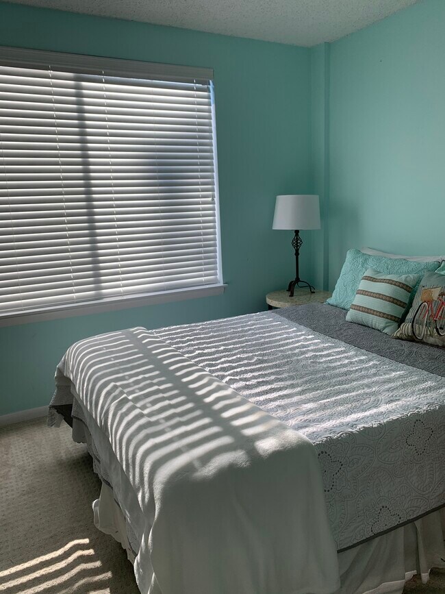 2nd Bedroom - 231 Canal Park Dr