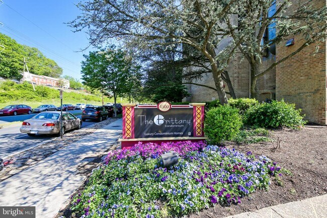 Building Photo - 4500 S Four Mile Run Dr