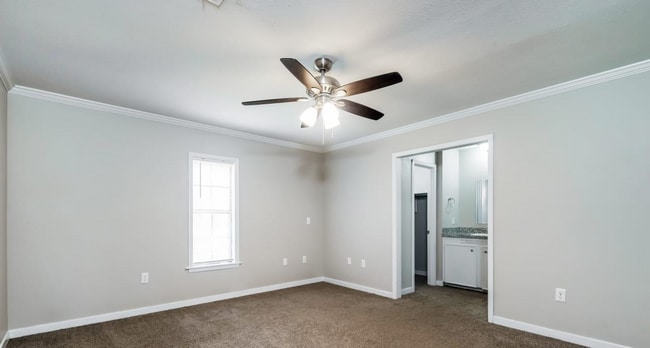 Building Photo - 17 Rotan Ct
