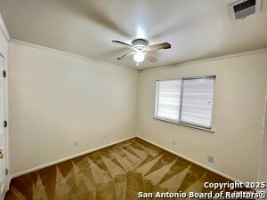 Building Photo - 4447 Amandas Cove
