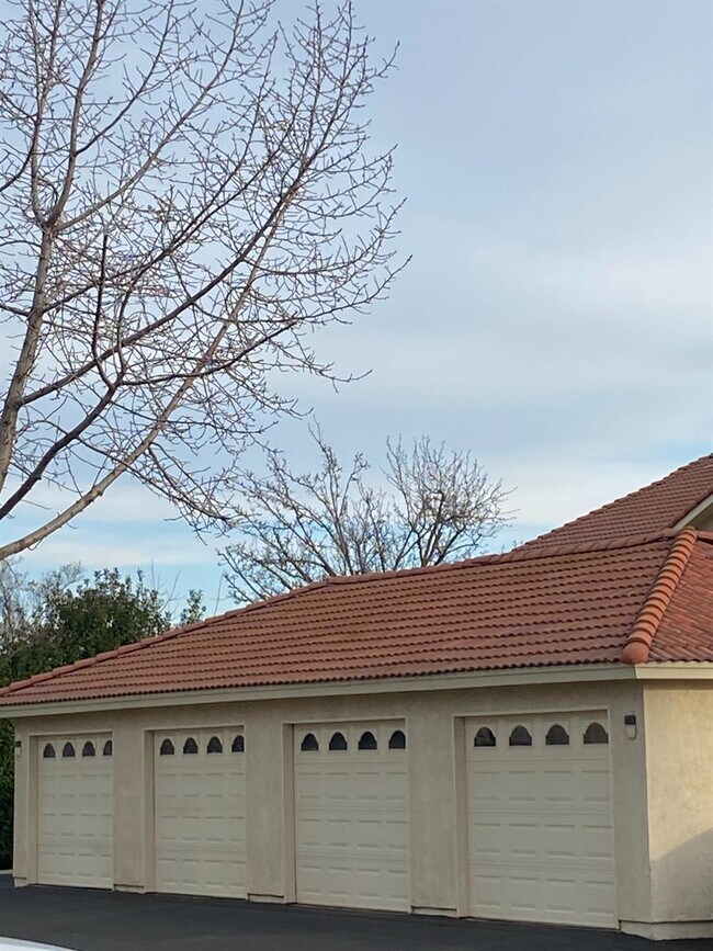 Building Photo - 1542 E Alluvial Ave