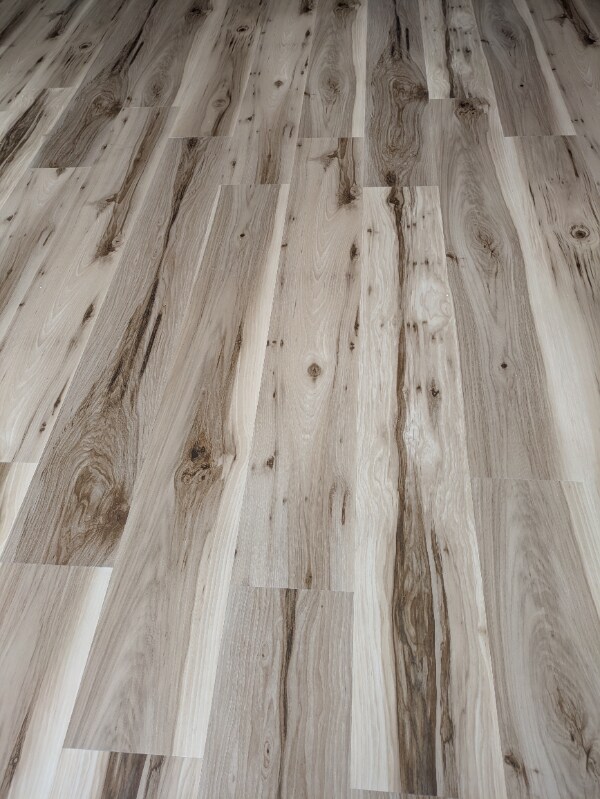 Building Photo - 361 Americana Dr