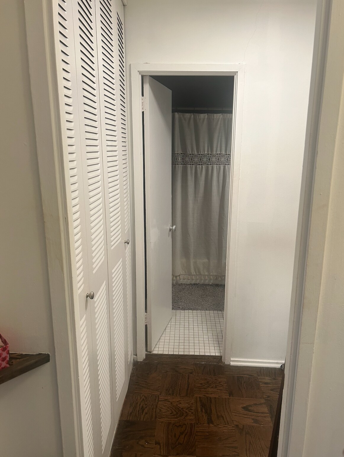 Bathroom/closet area - 1311 Delaware Ave SW