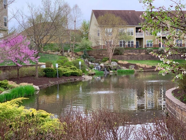 Building Photo - 2416 Boulder Springs Dr
