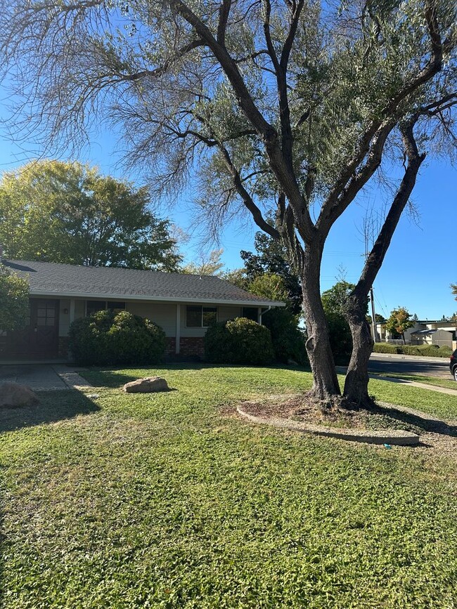 Building Photo - Beautiful home near the Almaden Country Club!